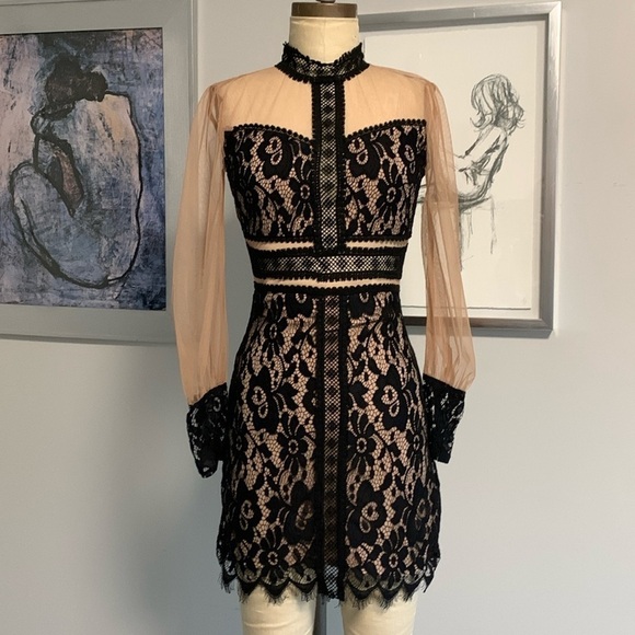 Endless Rose Black and Cream trompe l’oeil Lace Mini Dress - Picture 1 of 6